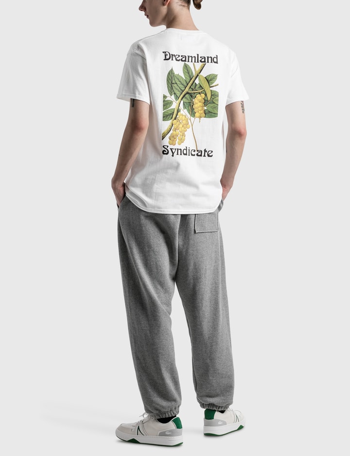 Fruit T-shirt Placeholder Image