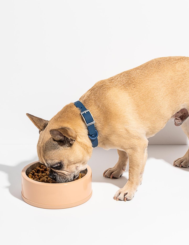 Pet Bowl – Tan Placeholder Image